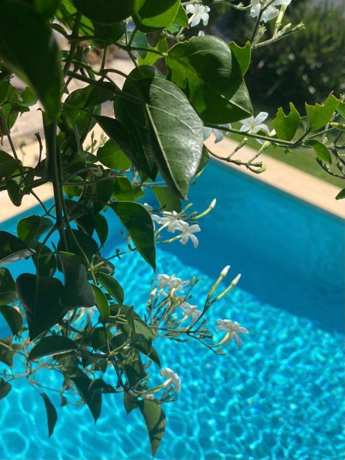 Beautiful Villa With Pool, Barbecue, And Garden خافييا المظهر الخارجي الصورة